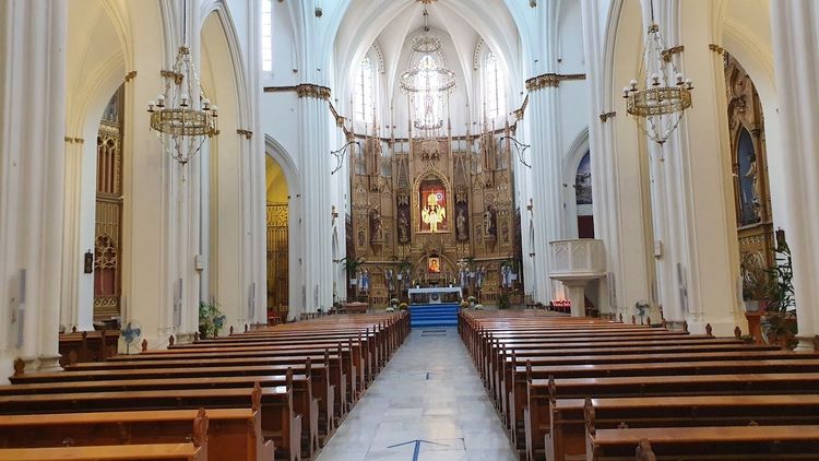 Basilica of the Immaculate Conception and St. Peter the Apostle image